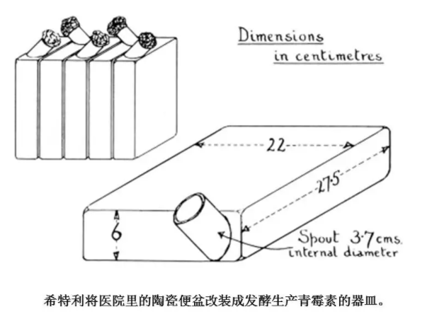 1613789610263685.png image.png