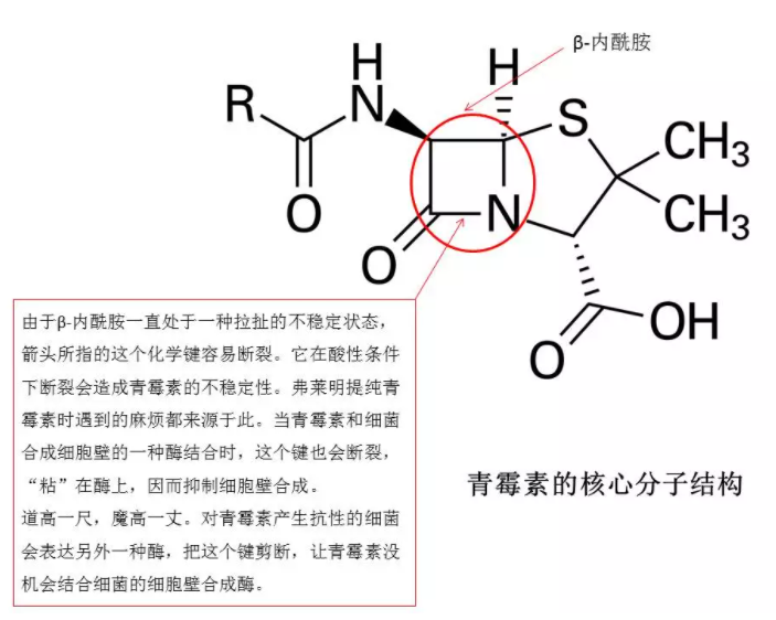 1613789745851146.png image.png